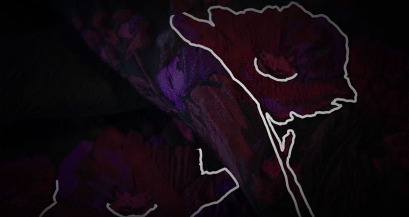 GdA video presentation collection