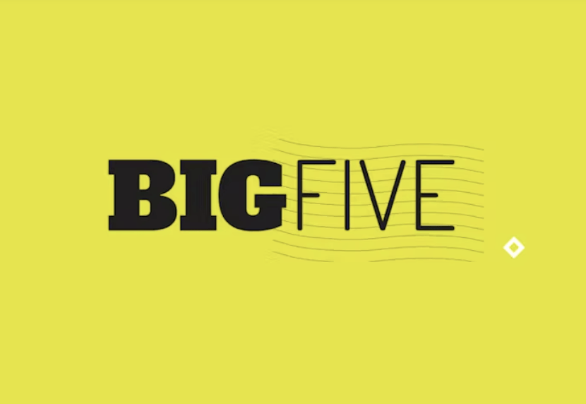 BigFive videos
