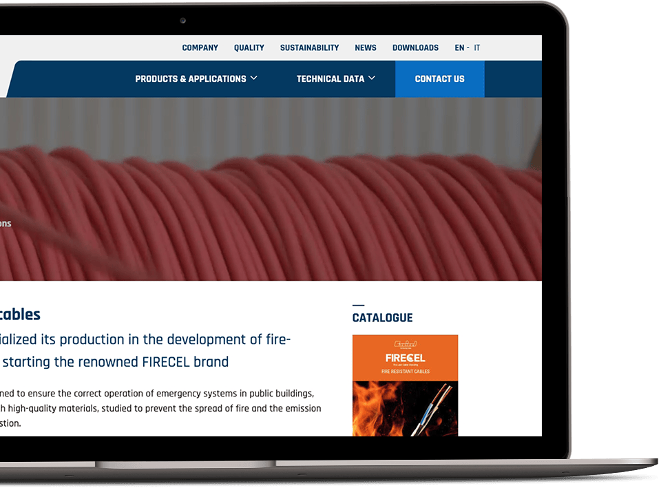 Cavicel website 3 1