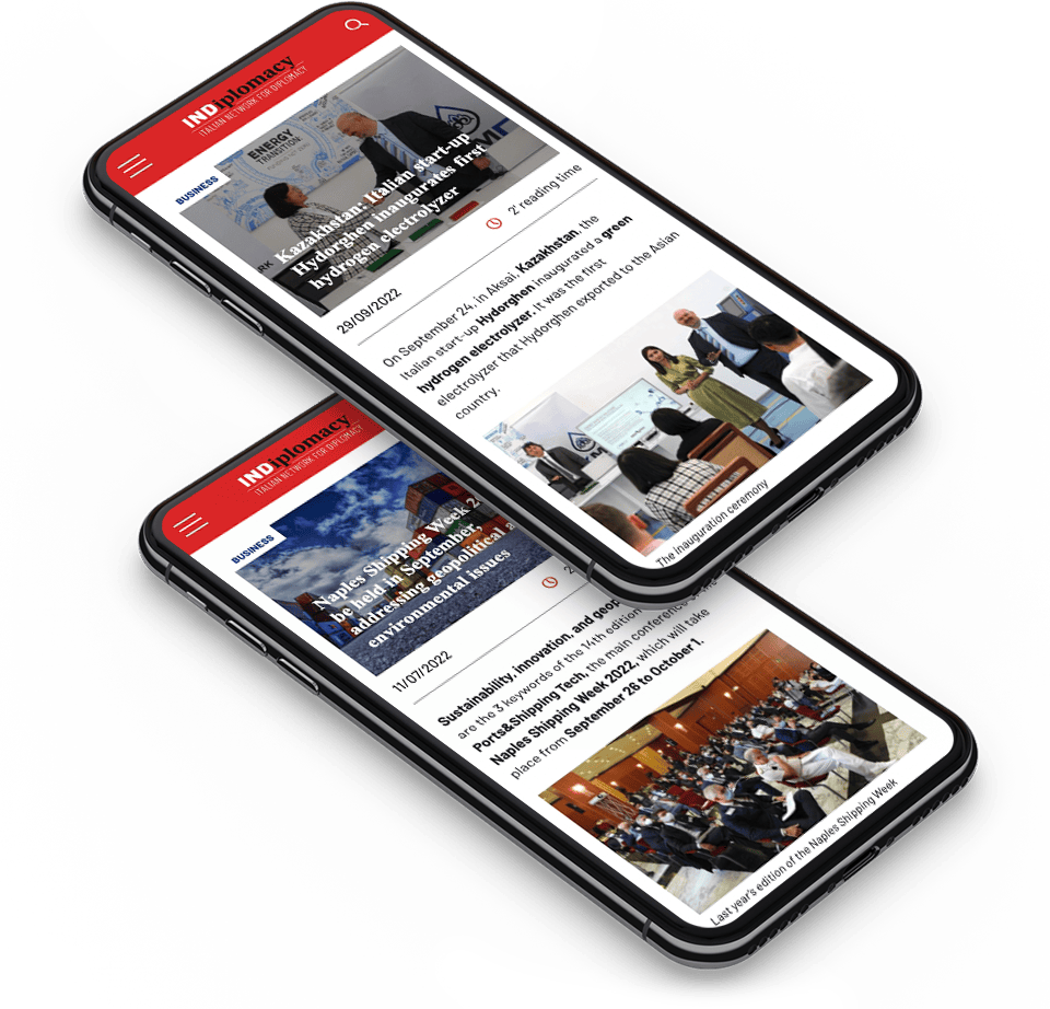 Indiplomacy website 10