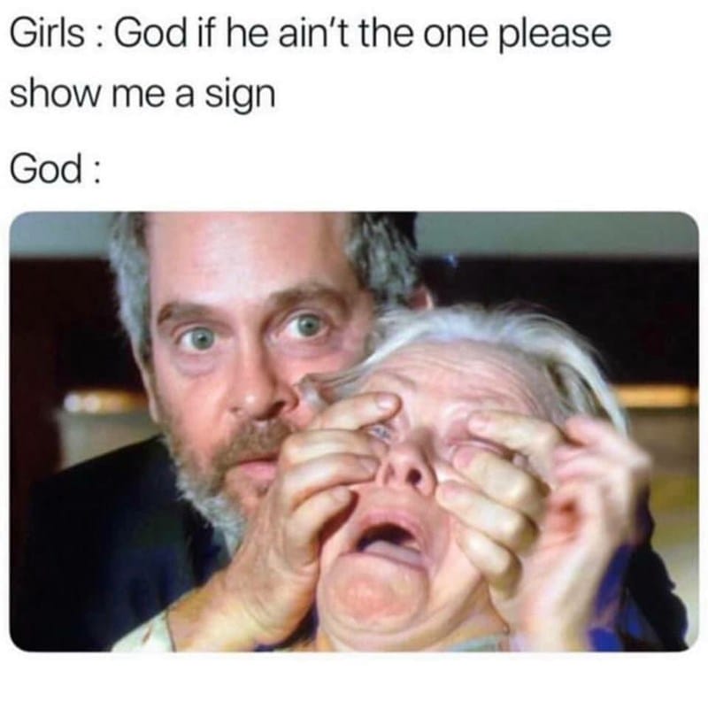 Why are memes the future of digital marketing? birdbox meme